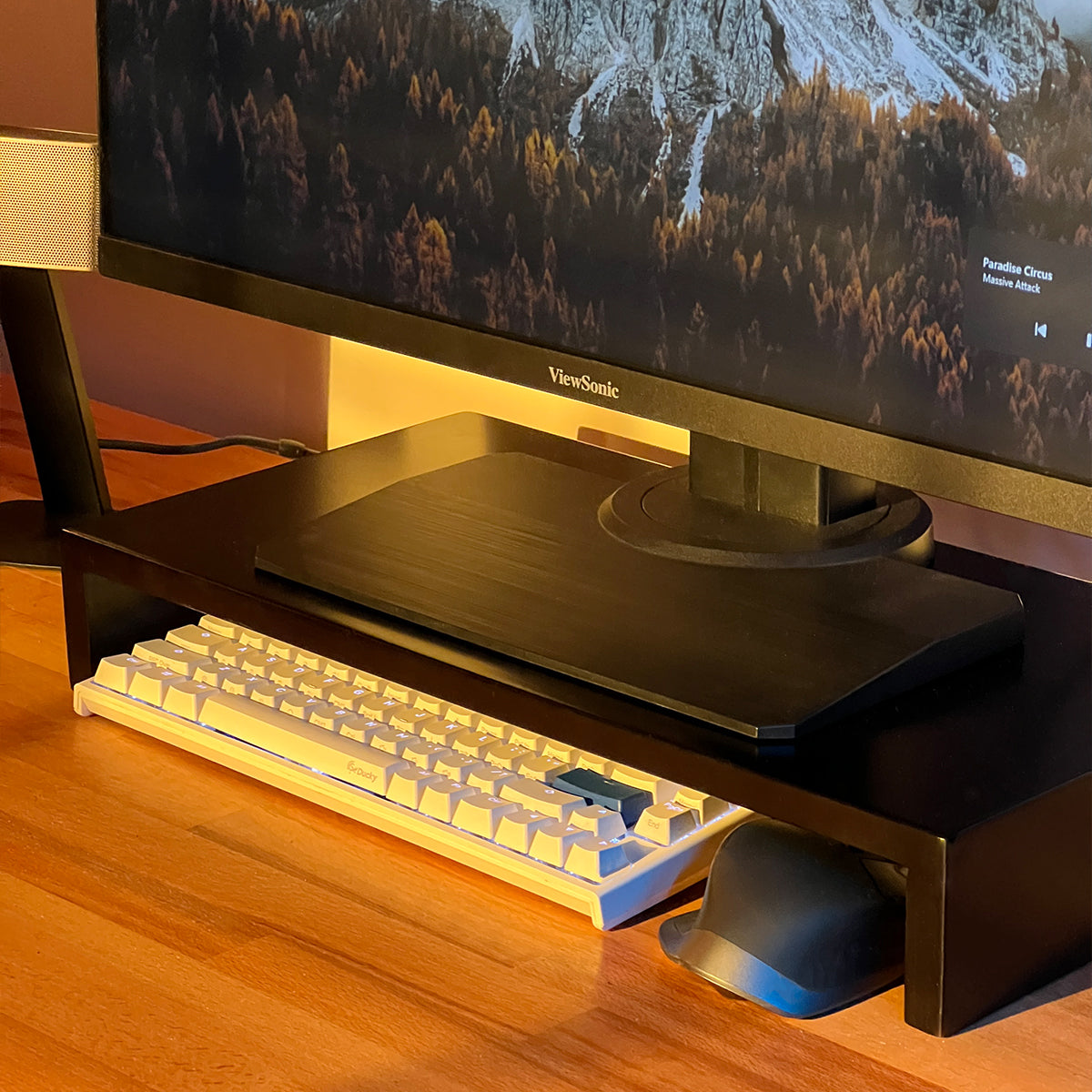 Monitor Stand Riser for Desk- Desk Organizer